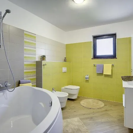 Modern In With Private Swimming Pool Villa Pula